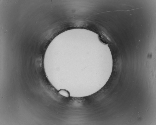 X0000112140368200909041045