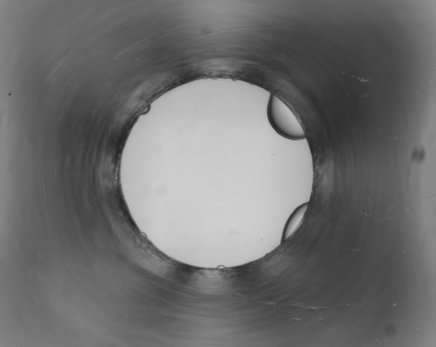 X0000112140381200909041045