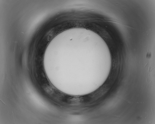 X0000112140383200909041045