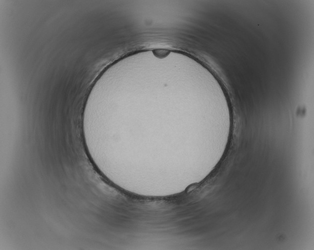 X0000112140385200909041044