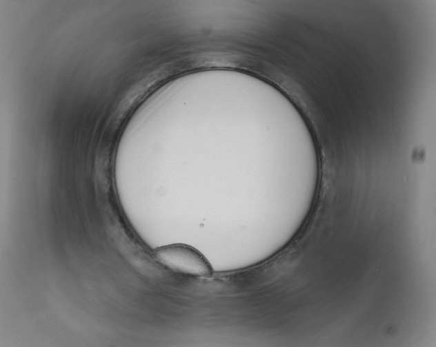 X0000112140386200909041044