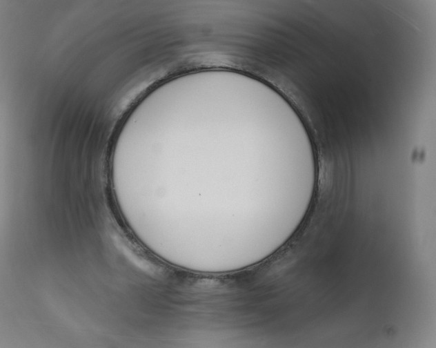 X0000112140390200909041044