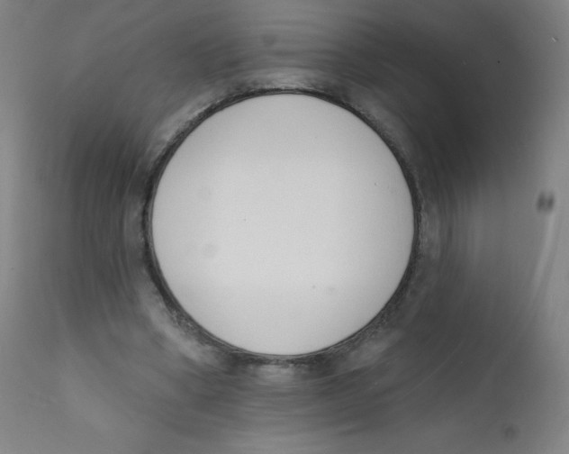 X0000112140394200909041044