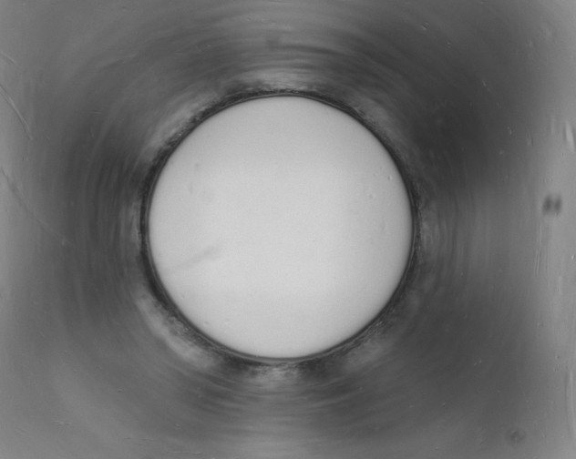 X0000112140398200909041044