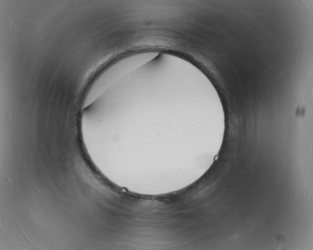 X0000112140399200909041044