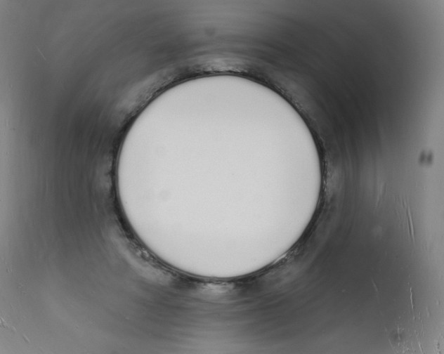 X0000112140402200909041044