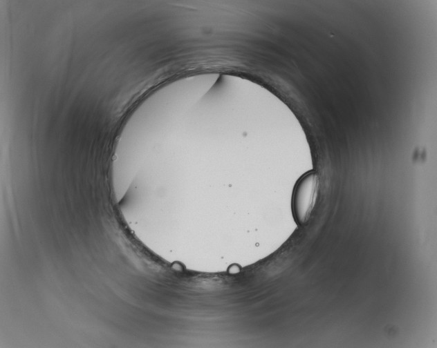 X0000112140405200909041044