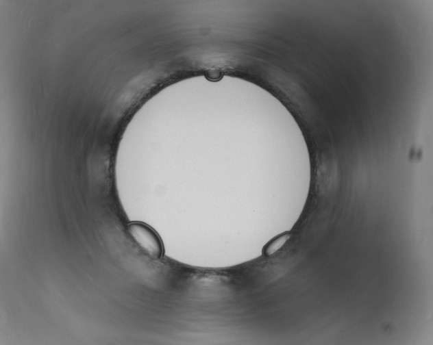 X0000112140407200909041044