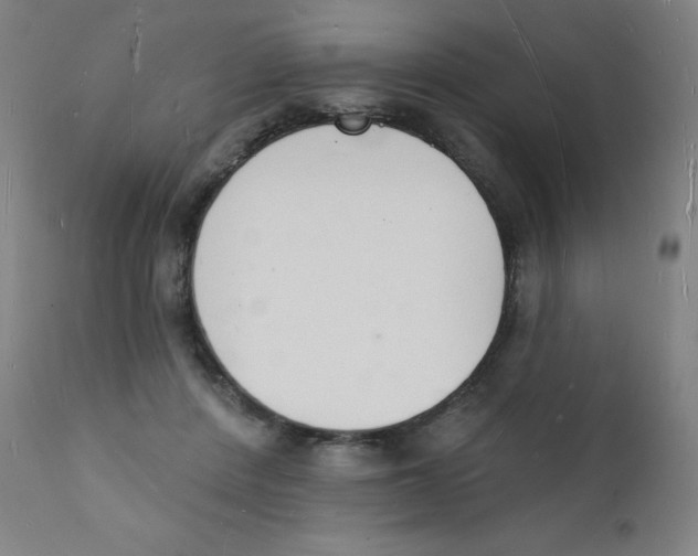 X0000112140408200909041044