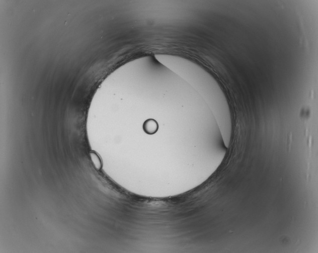 X0000112140409200909041044