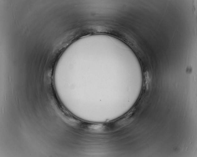 X0000112140410200909041044