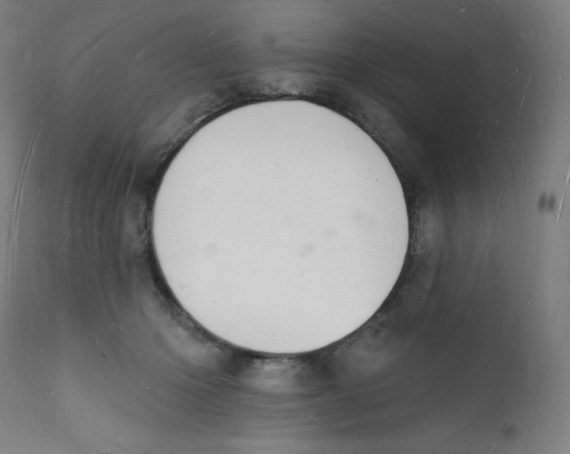 X0000112140414200909041044