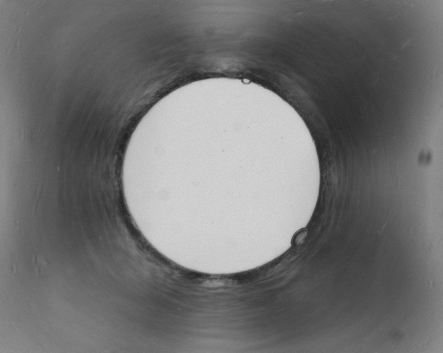 X0000112140415200909041044