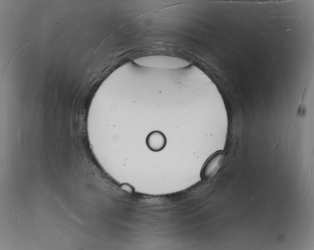 X0000112140417200909041044