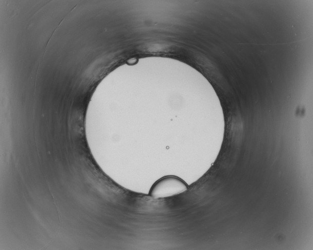 X0000112140421200909041044