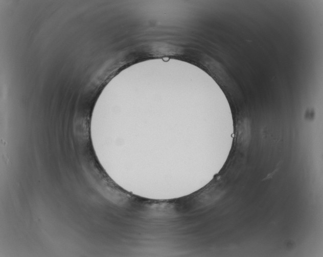 X0000112140426200909041044