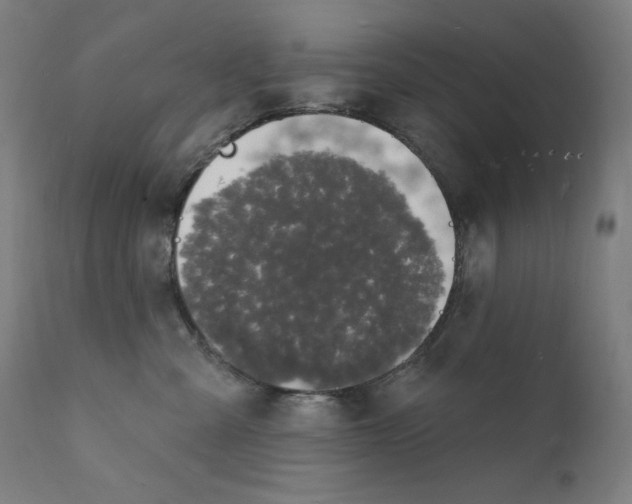 X0000112140427200909041044