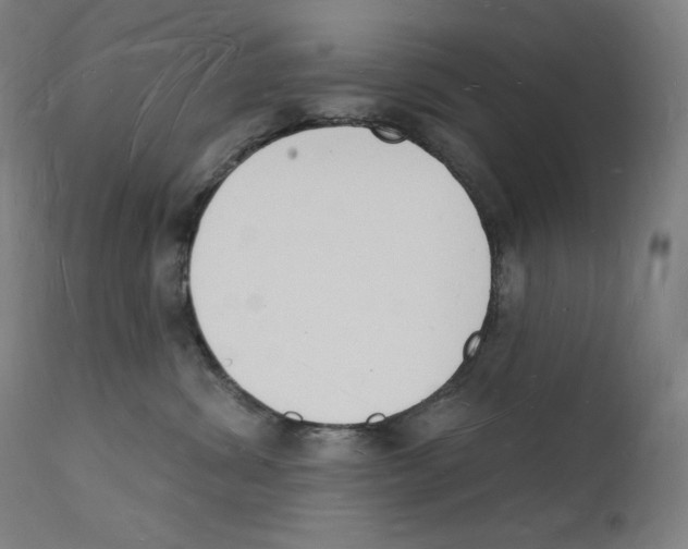 X0000112140428200909041044