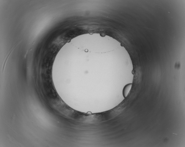 X0000112140430200909041044