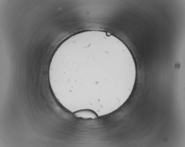 X0000112140433200909041043