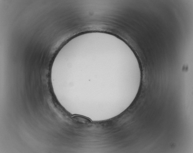 X0000112140434200909041043