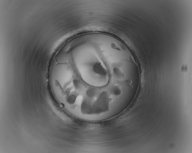 X0000112140438200909041043