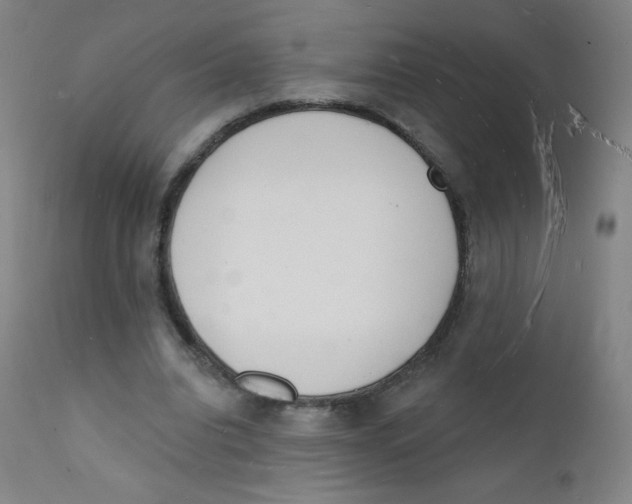 X0000112140440200909041043