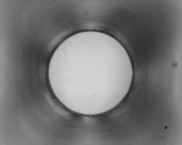 X0000112140442200909041043