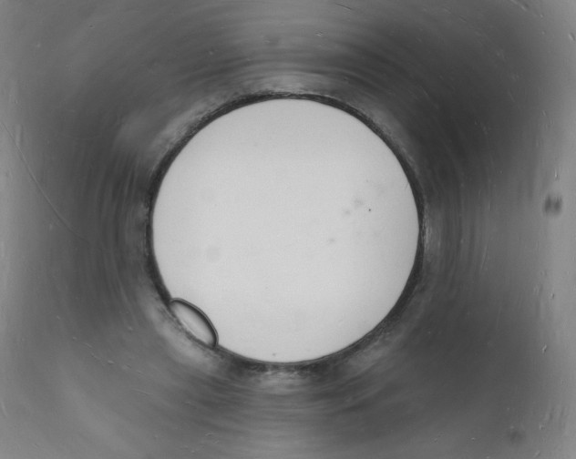 X0000112140445200909041043