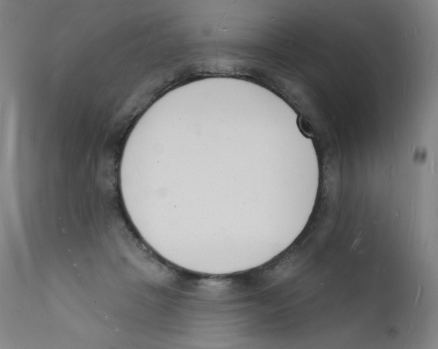 X0000112140457200909041043