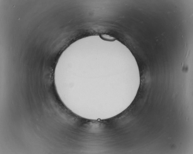 X0000112140464200909041043