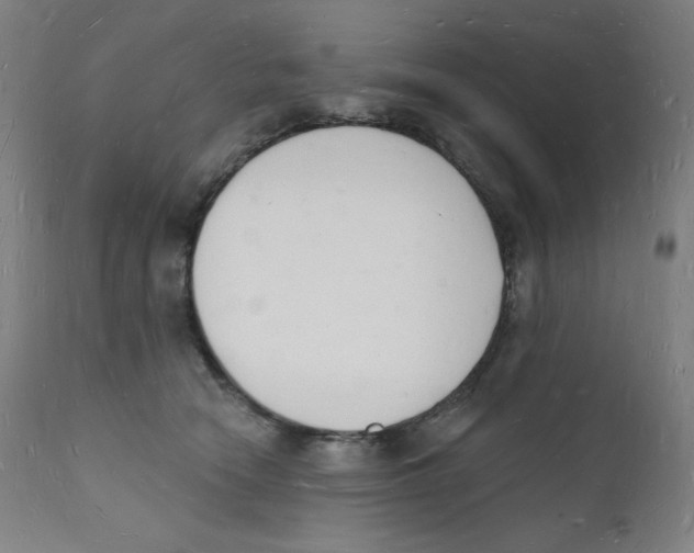 X0000112140466200909041043