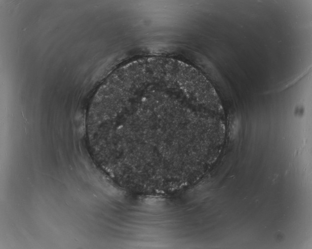 X0000112140471200909041044