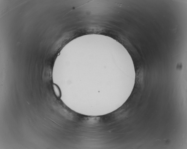 X0000112140474200909041044