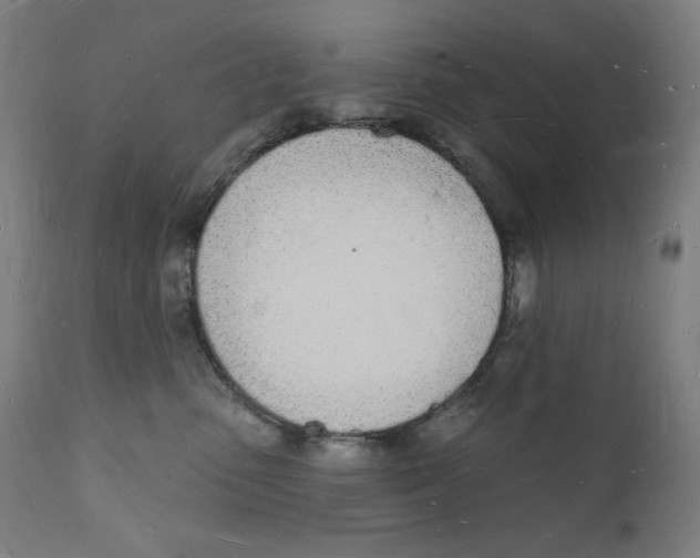 X0000112140475200909041044