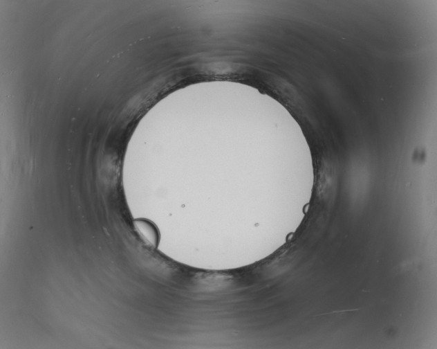 X0000112140476200909041044