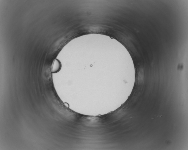 X0000112140478200909041044