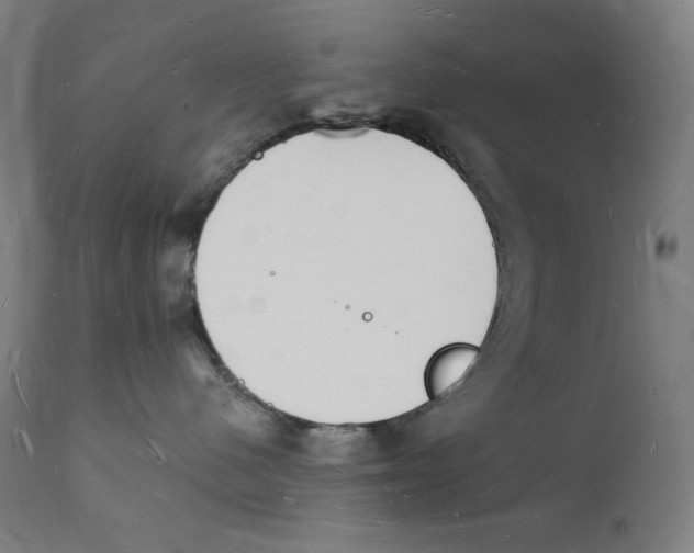 X0000112140480200909041044