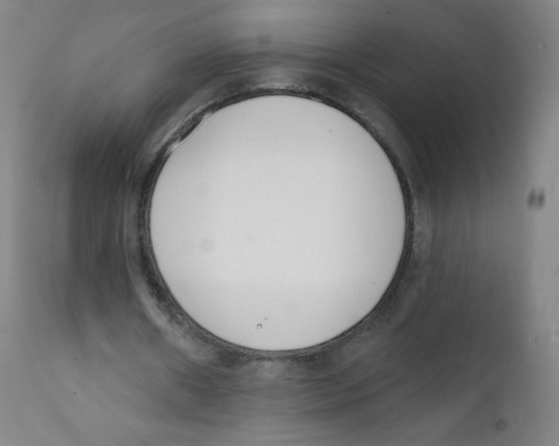 X0000112140482200909041043