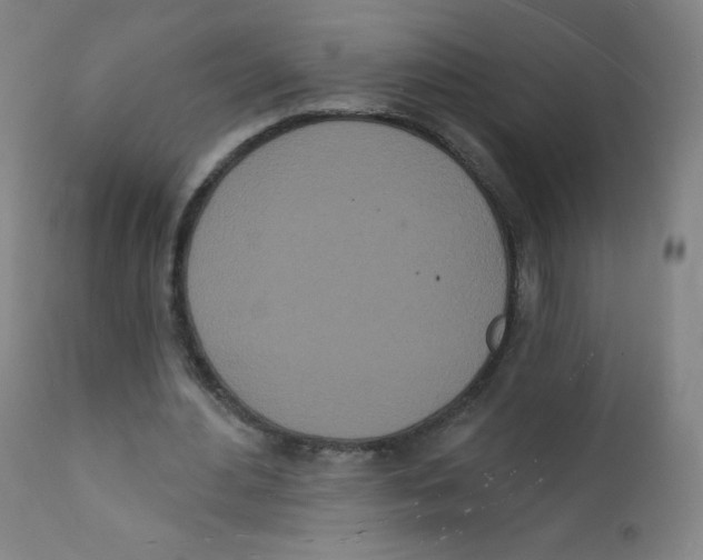 X0000112140484200909041043