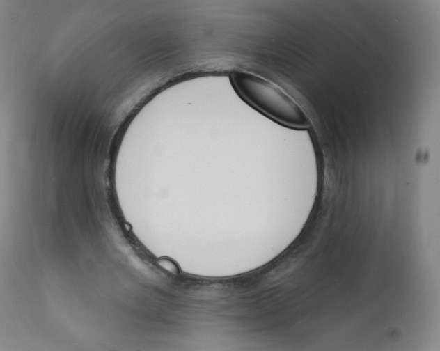 X0000112140485200909041043