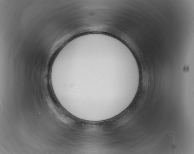 X0000112140486200909041043