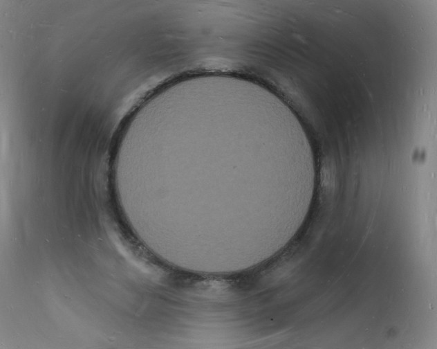 X0000112140492200909041043