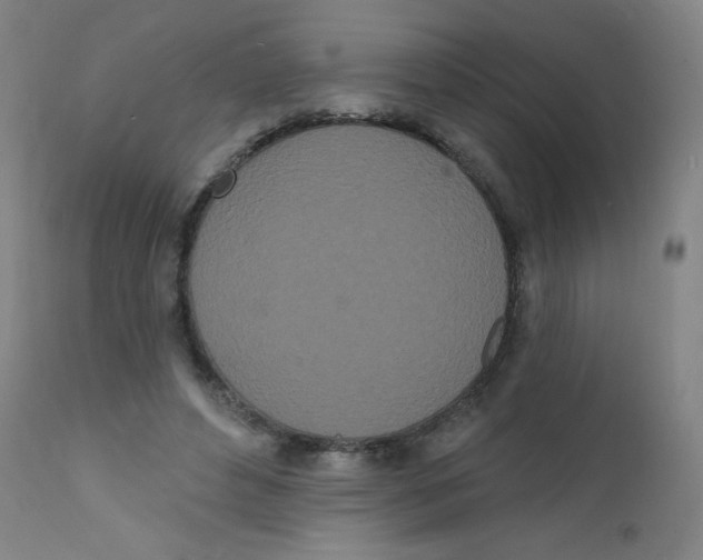 X0000112140496200909041043