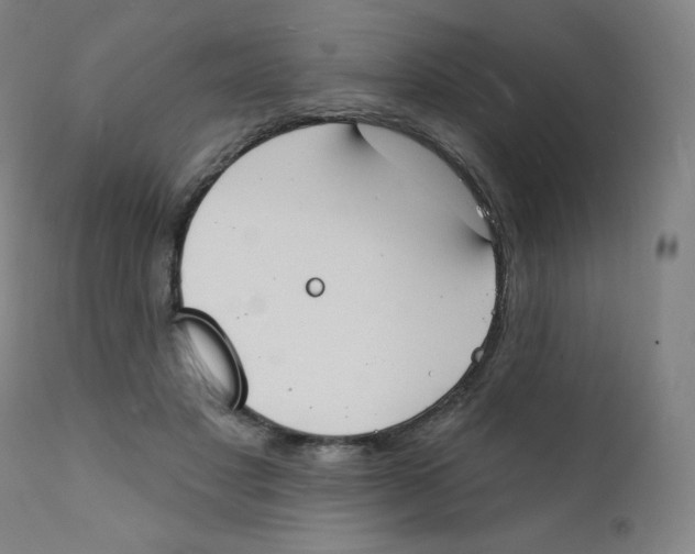 X0000112140501200909041043