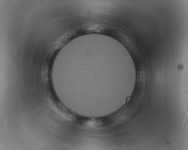 X0000112140504200909041042