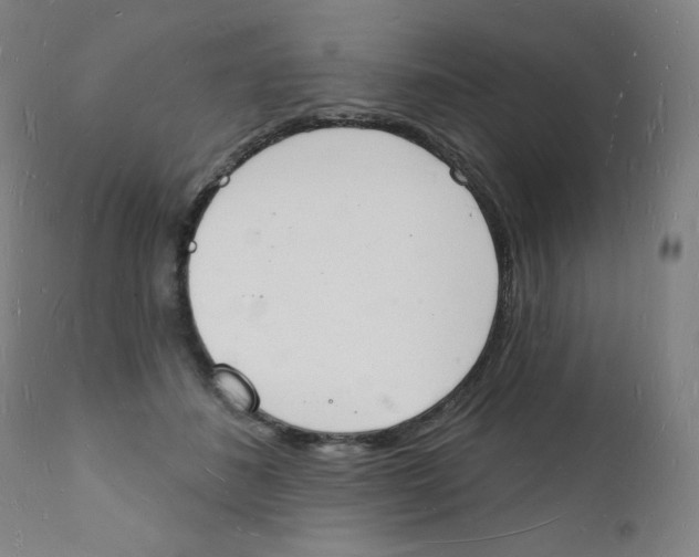 X0000112140508200909041042