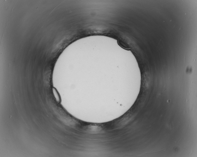 X0000112140509200909041042