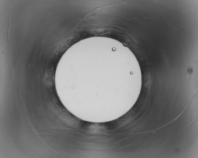 X0000112140515200909041042