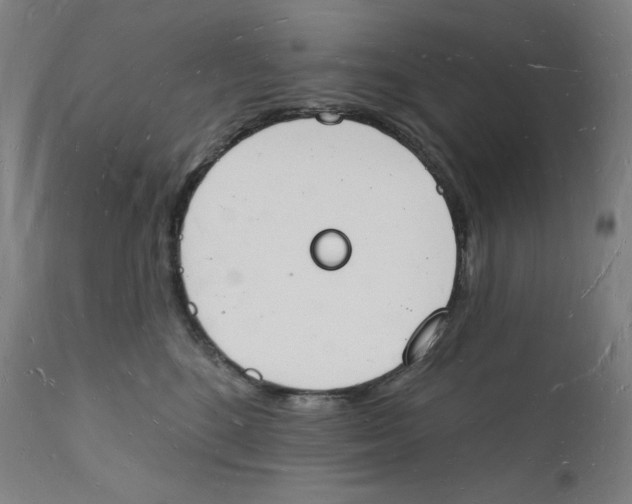 X0000112140520200909041042